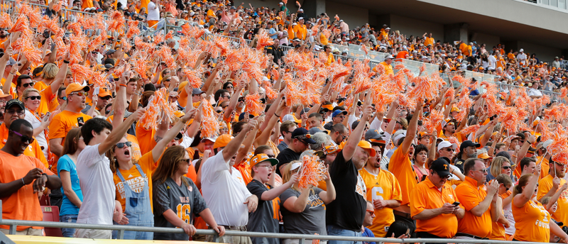 Fans of the Tennessee Volunteers celebrate during the second half of the Outback Bowl (Getty Images/Mike Carlson)